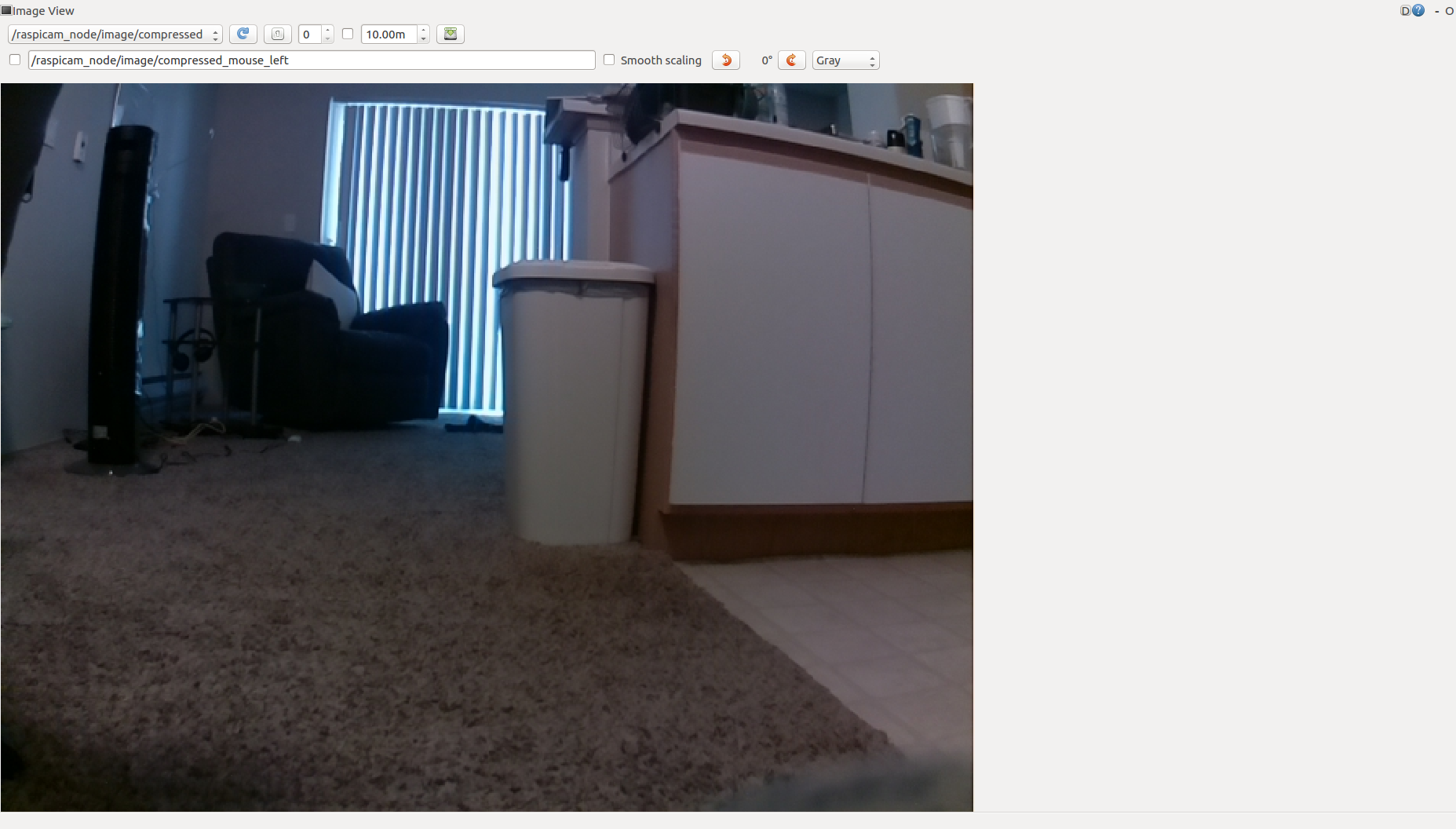 rqt_image_view camera output